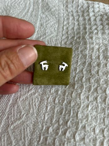 Boucles d’oreilles puces capricorne