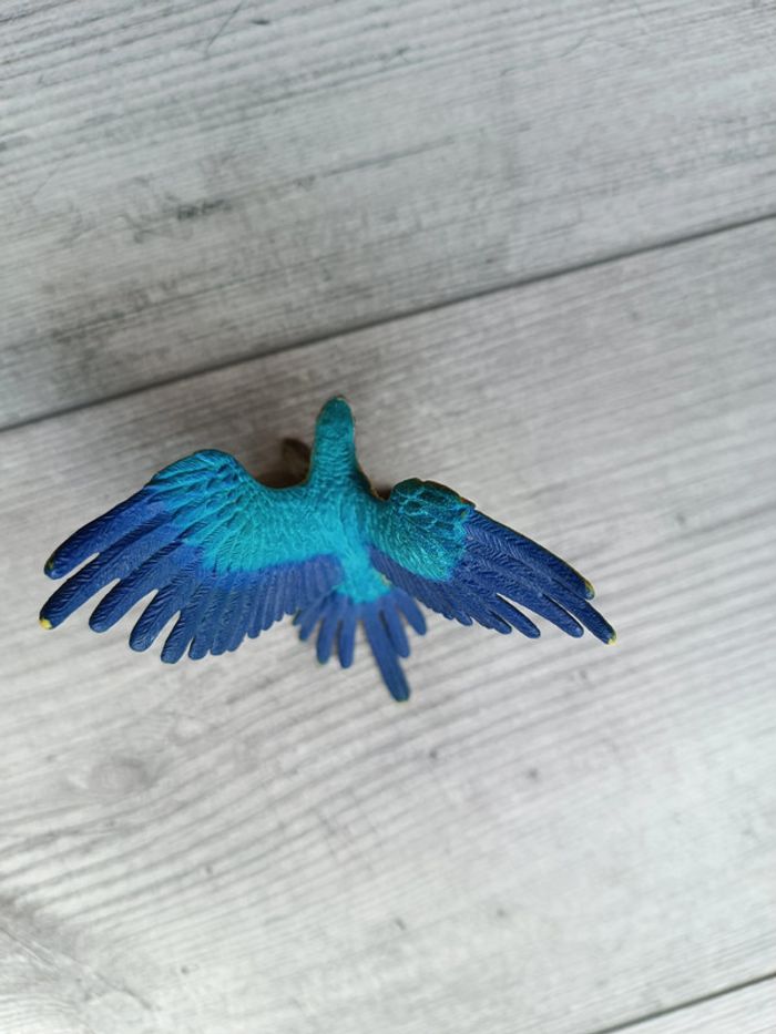 Ara Schleich - photo numéro 3