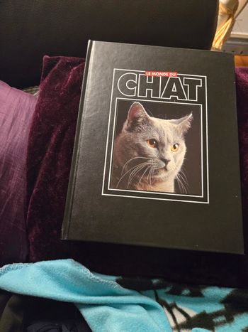 Le monde du chat n °4