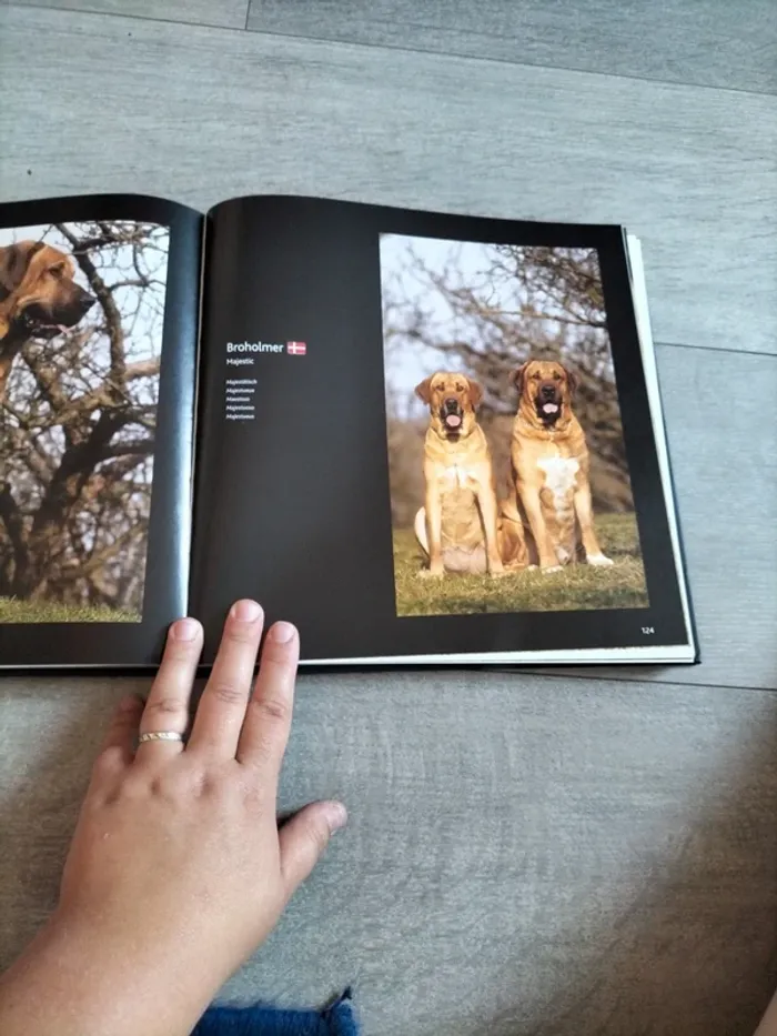 Livres sur les chiens - photo numéro 2