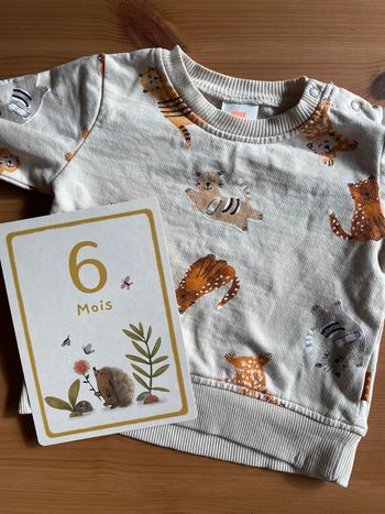 Sweat léger petits chats Hema