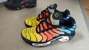 Nike Air Max Plus "Tropical Gradient"
