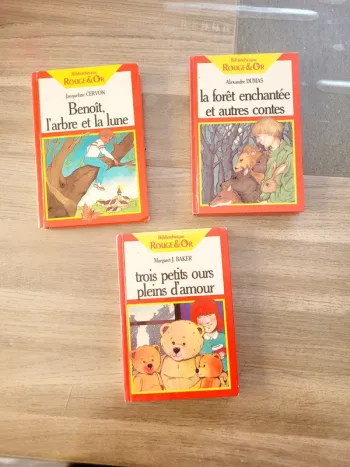 Lot 3 livres 📚 bibliothèque rouge et or