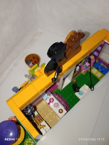 Lego Friends 