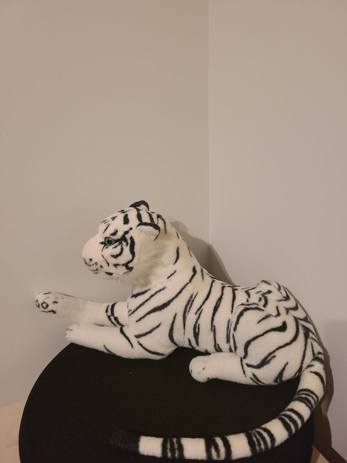 tigre blanc - photo numéro 4