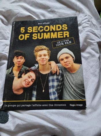 5 seconds of summer le livre 100% fan