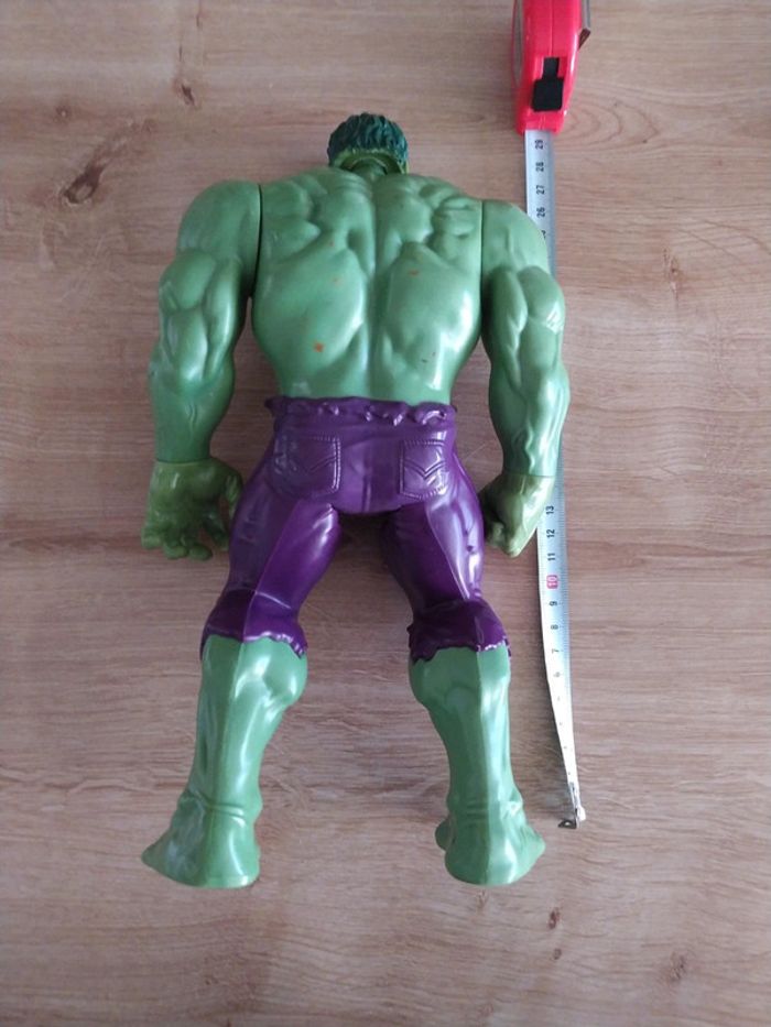 Hulk 2013 - photo numéro 2