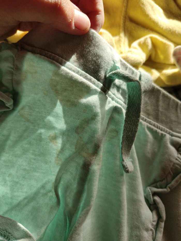 Lot 3 short - photo numéro 2