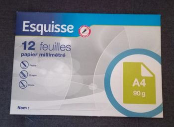 12 feuilles papier millimétré A4 neuf