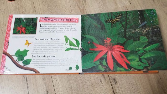 Livre Puzzle Petites bêtes - photo numéro 4