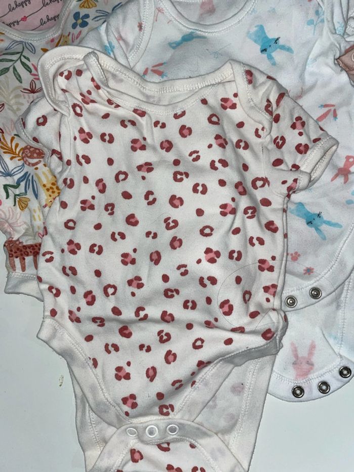 Lot de 20 bodys manches courtes - photo numéro 11