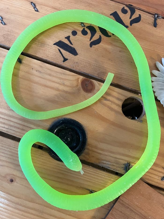 Animaux - photo numéro 4