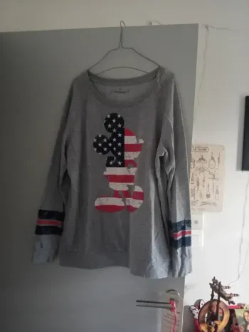 Joli sweat Disneyland Paris