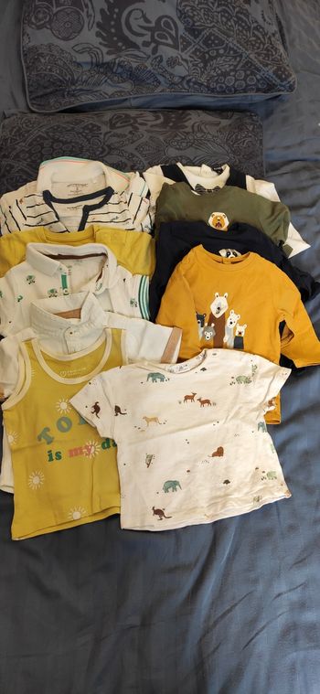 Lot de 11 hauts 6 mois