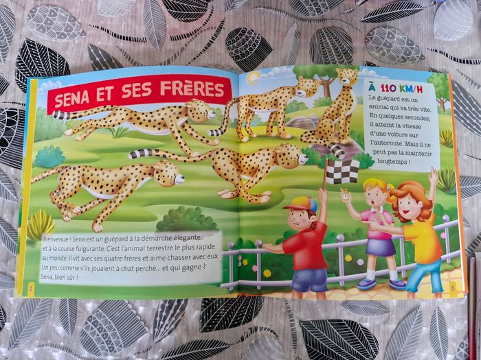 Livre enfant - photo numéro 3