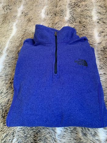 Polaire the north face