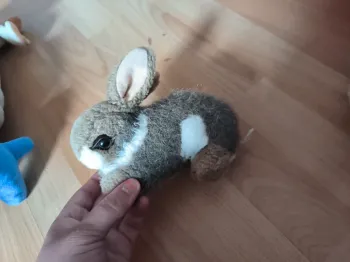 Peluche lapin cp international