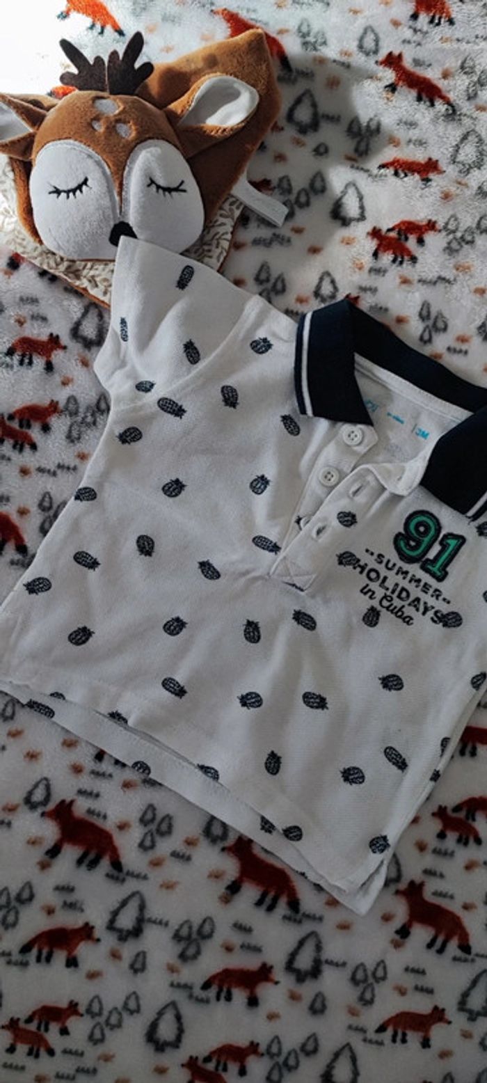 Polo motif