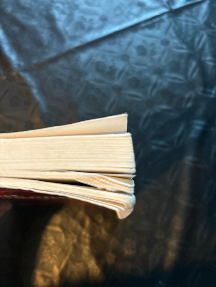 Livre Tout savoir sur les vampires - photo numéro 3