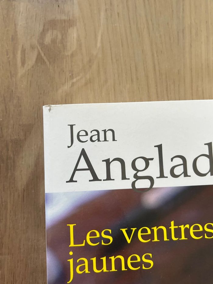 Livre les ventres jaunes - photo numéro 5