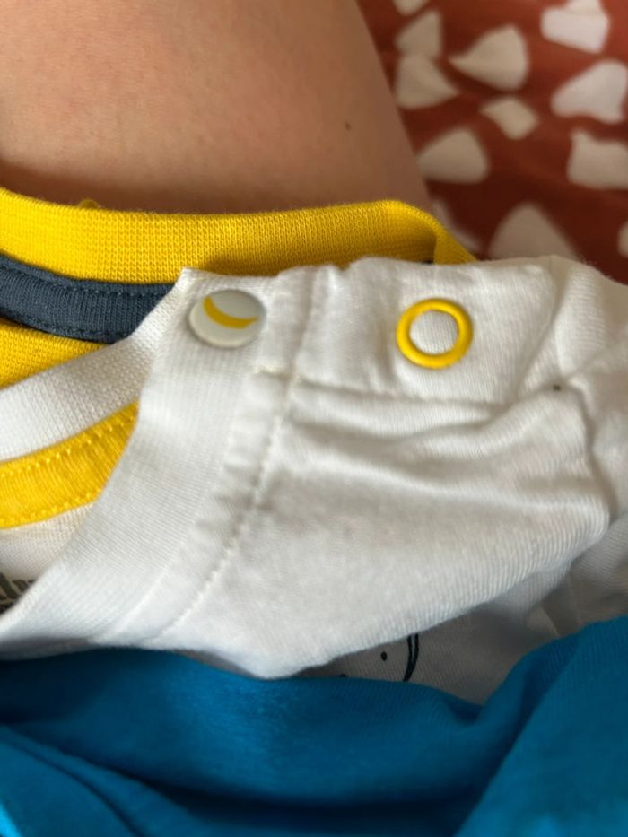 Lot de 3 t-shirt manches courtes - photo numéro 6