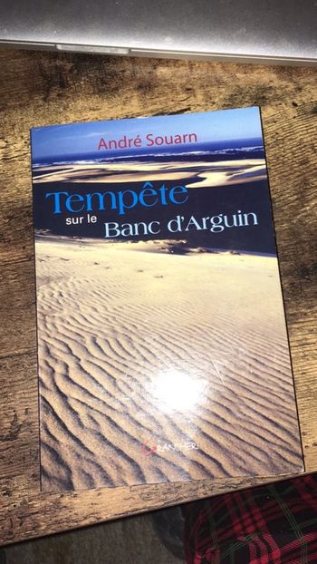 Tempête sur le banc d’arguin