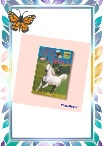 Le grand livre des chevaux 🏇