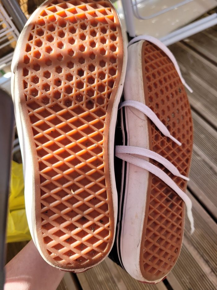 vans t40 (8e) - photo numéro 5