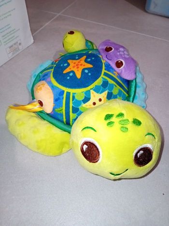 Maman tortue avec son bébé