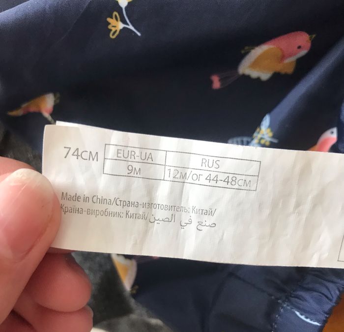 Coupe vent - photo numéro 3