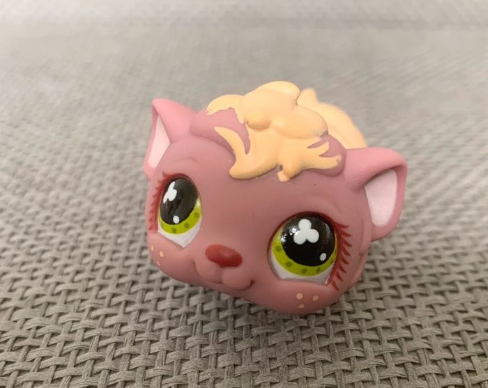 Petshop Cochon d’Inde - 2€ l’unité - photo numéro 5