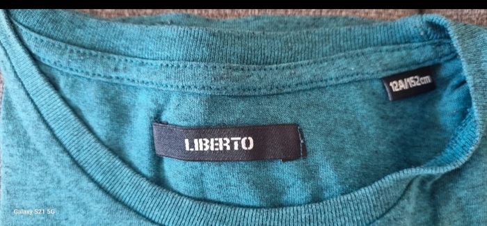 Lot de 13 tee-shirts manches courtes garçon - photo numéro 6