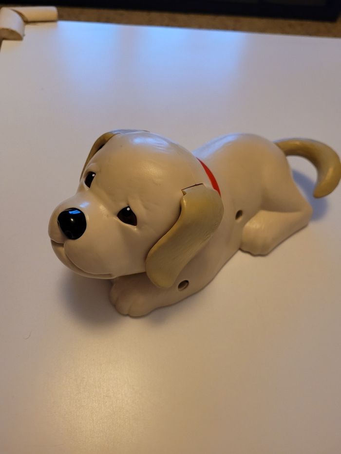 Chien - photo numéro 4