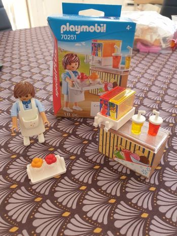 Playmobil 70251 complet
