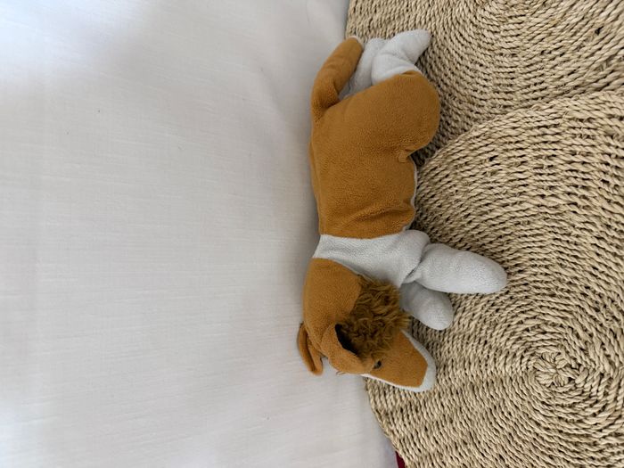 Peluche chien Colley - photo numéro 3