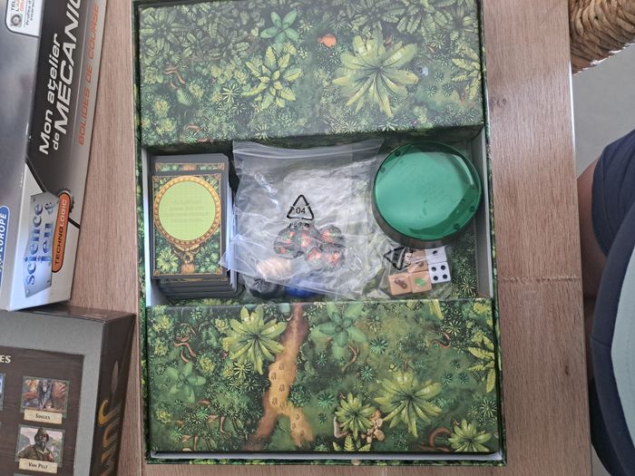 Jeux jumanji - photo numéro 3