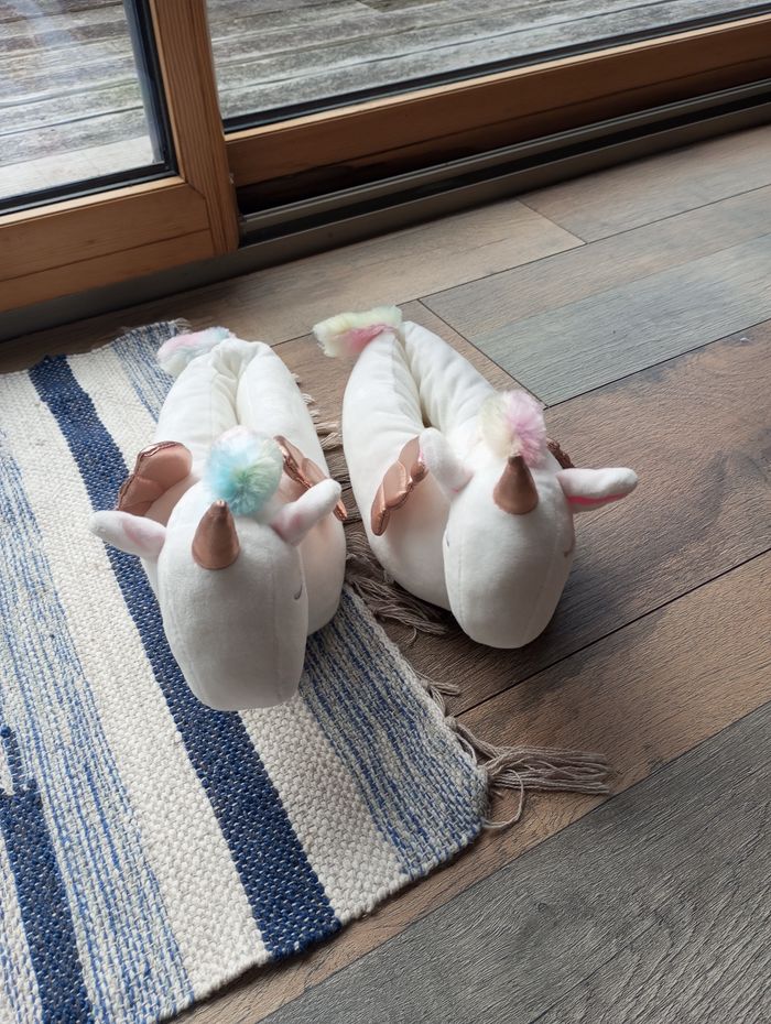 Chaussons - photo numéro 2