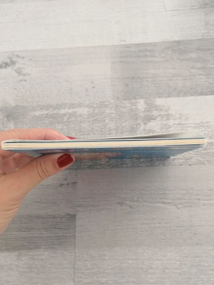 Livre oui oui 📘 - photo numéro 7