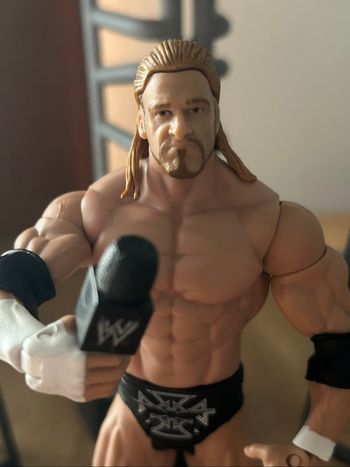 Triple H WWE Action Figure