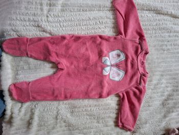 Pyjama rose