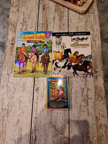 Lot 3 livres bd question et poche