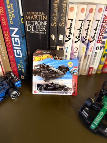 Lot Hot Wheels F1