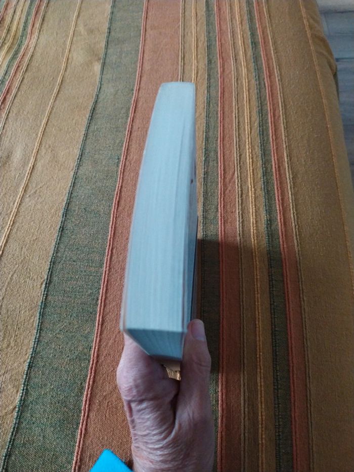 Les trois femmes du Consul de Jean Christophe Rufin - photo numéro 4