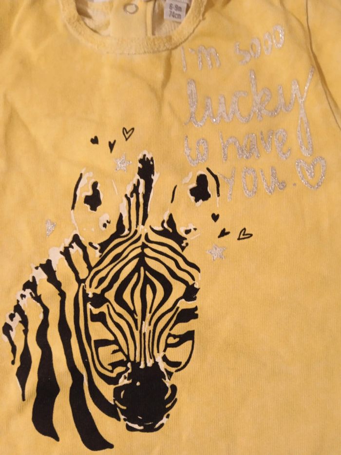 Pull zèbre - photo numéro 2