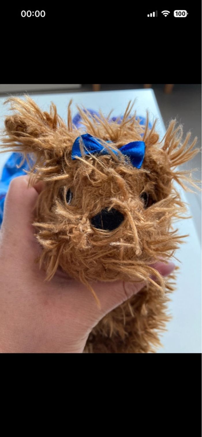 Petit chien modèle décoiffé et son panier/sac de transport - photo numéro 2