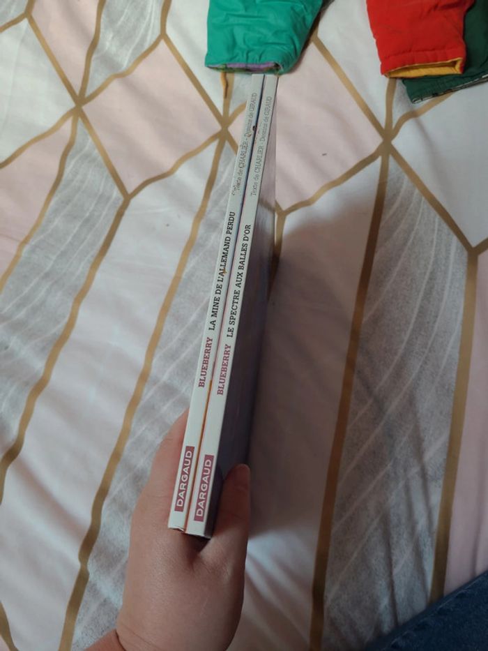 2 bd blueberry - photo numéro 5