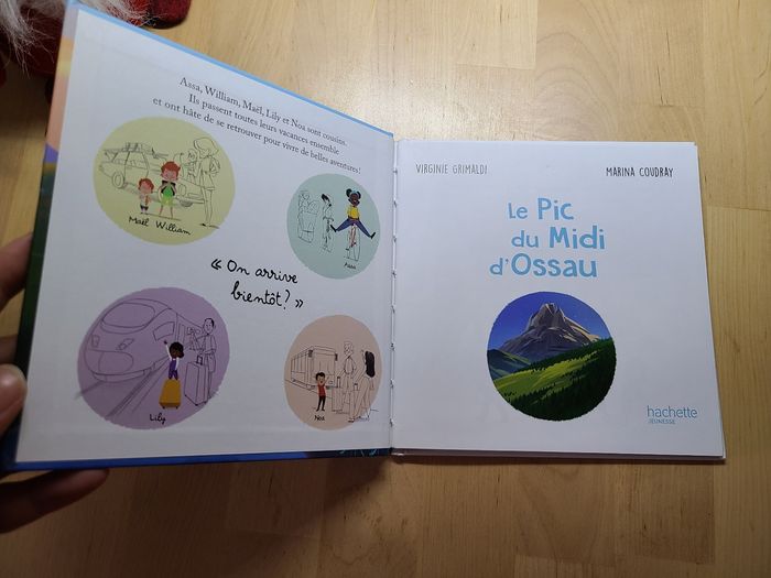 Le pic du midi d'Ossau - photo numéro 3