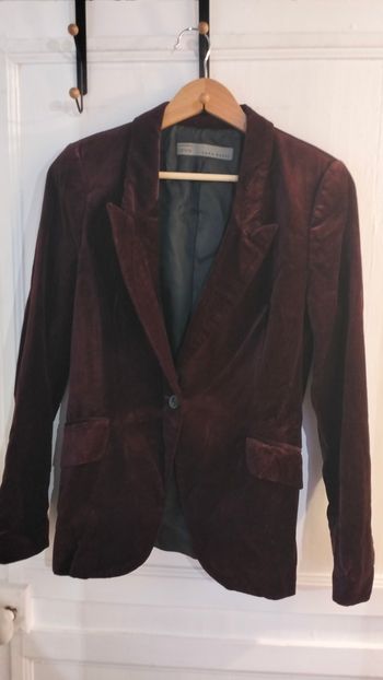 Veste en velours bordeaux Zara