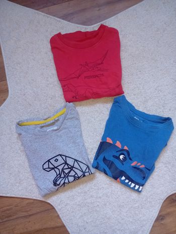 Lot tee-shirts dinosaure 