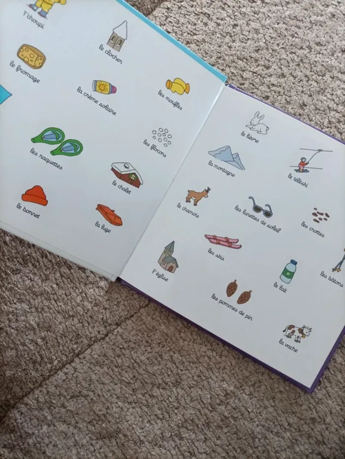 Livre T'choupi à la neige - photo numéro 8